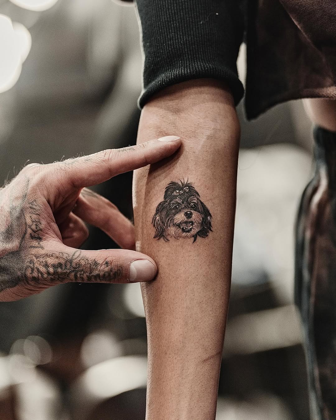 romeolacoste