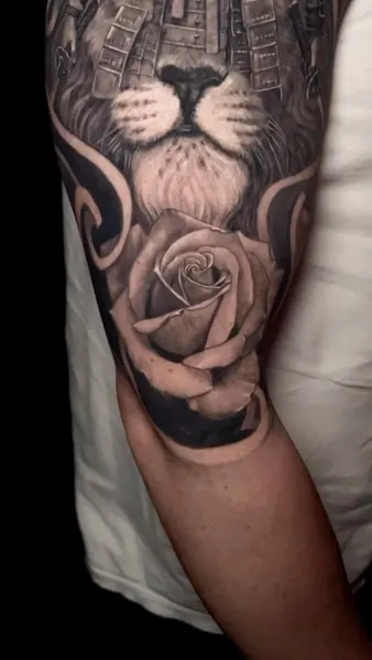 Flower, Rose