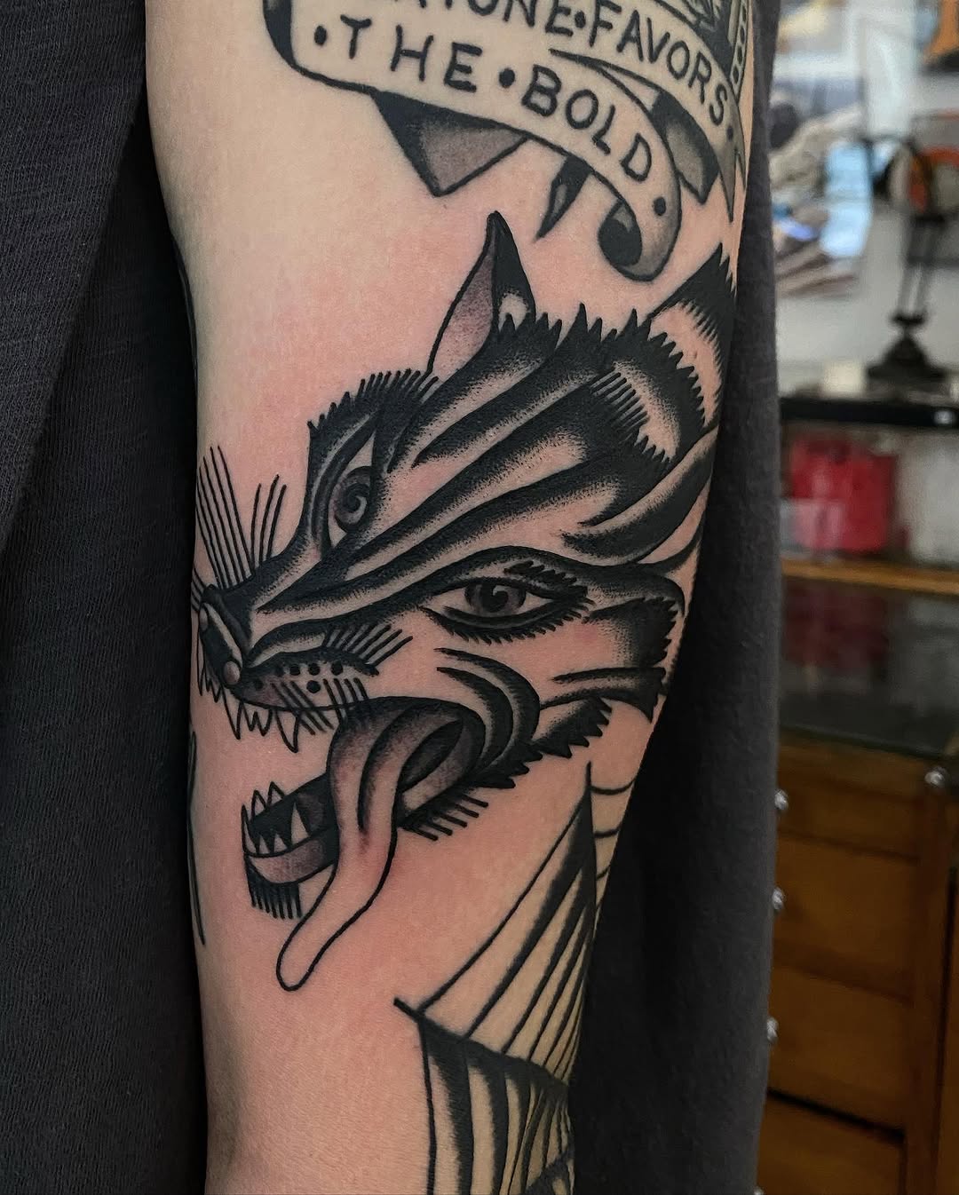 Tiger, Animal