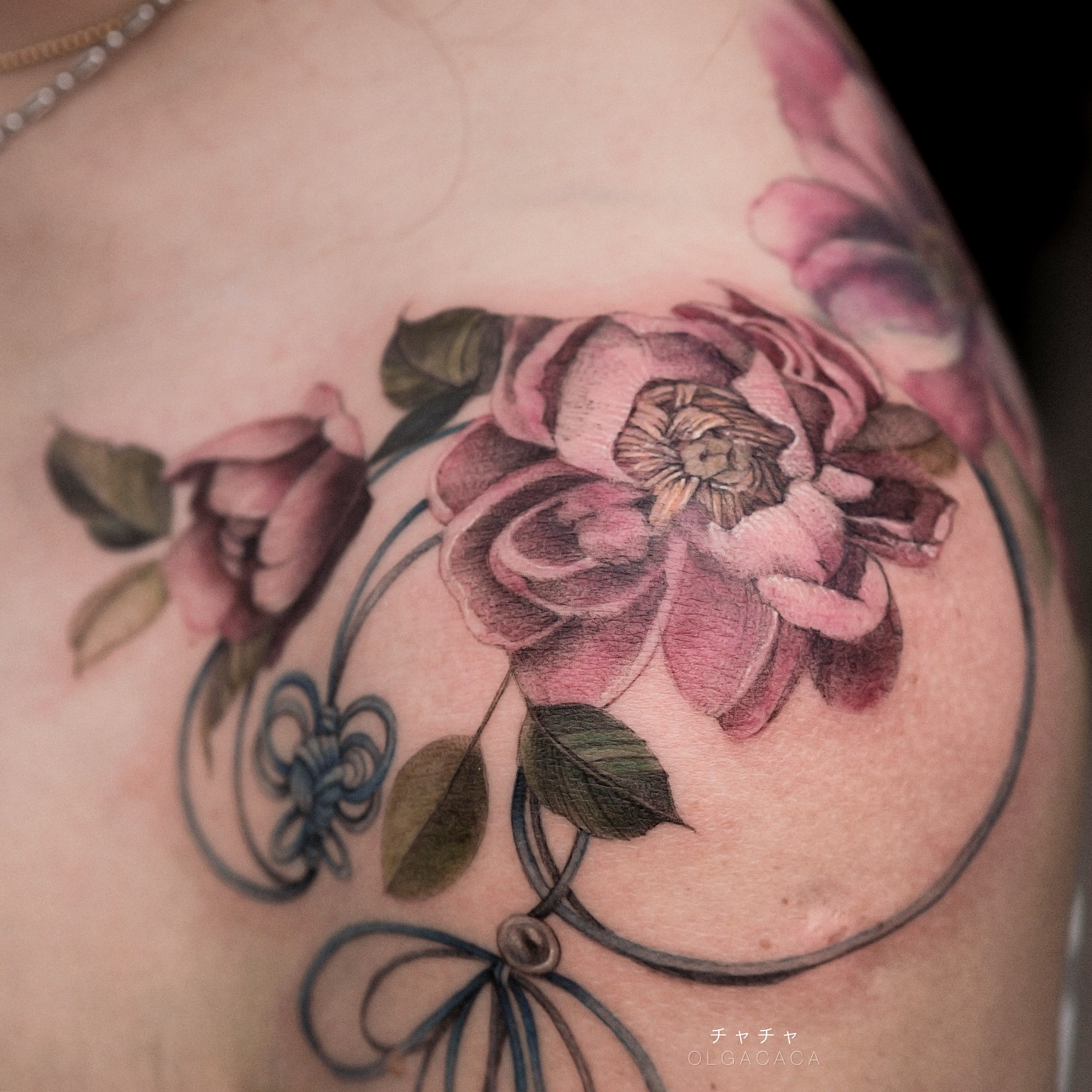 Flower, Rose, Nature
