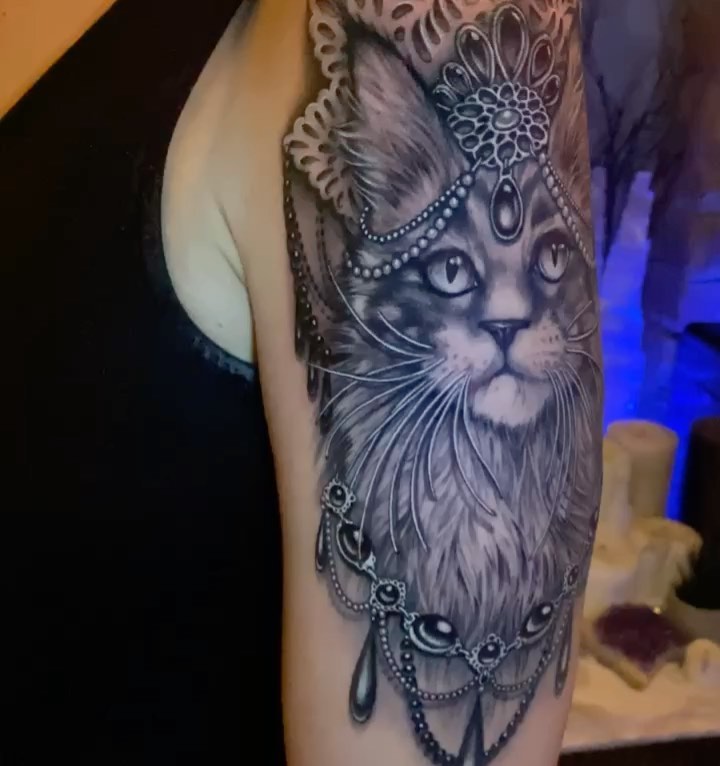 Animal
