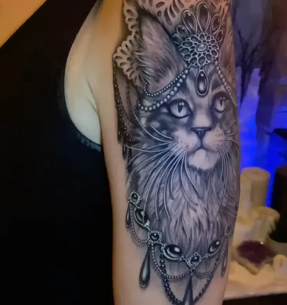 Animal