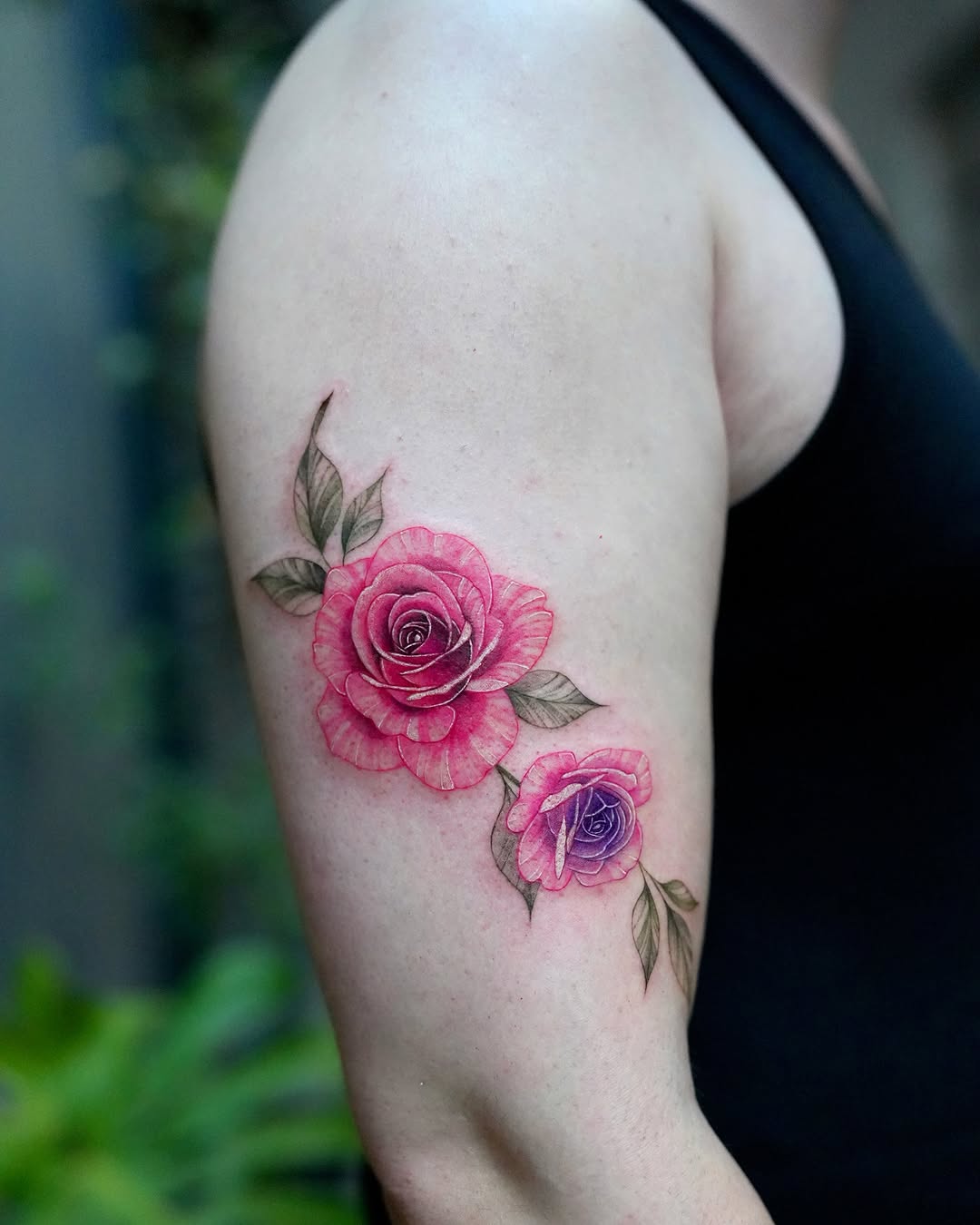 Flower, Rose, Nature