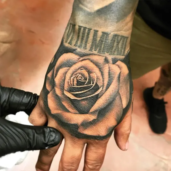 Flower, Rose