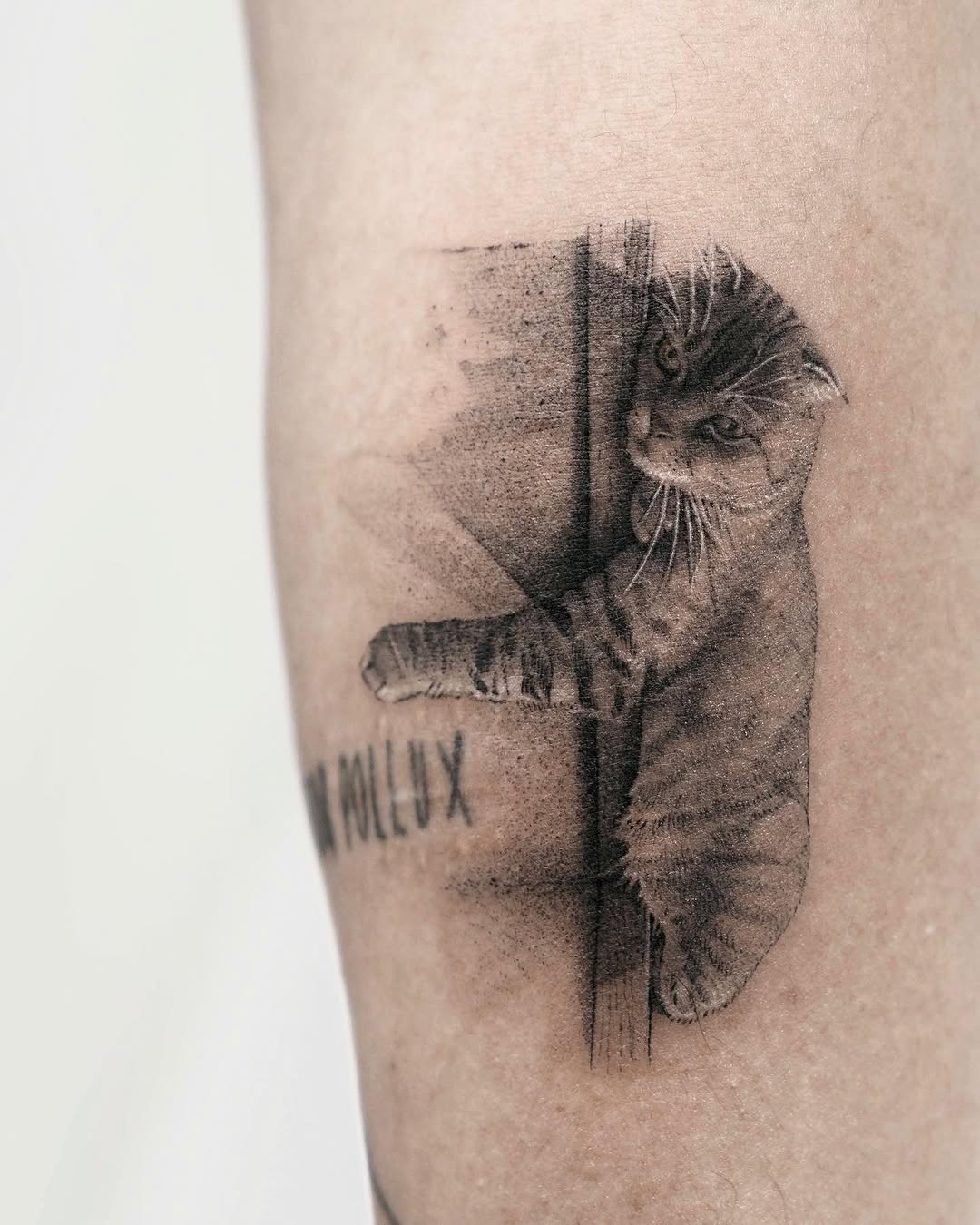 soltattoo