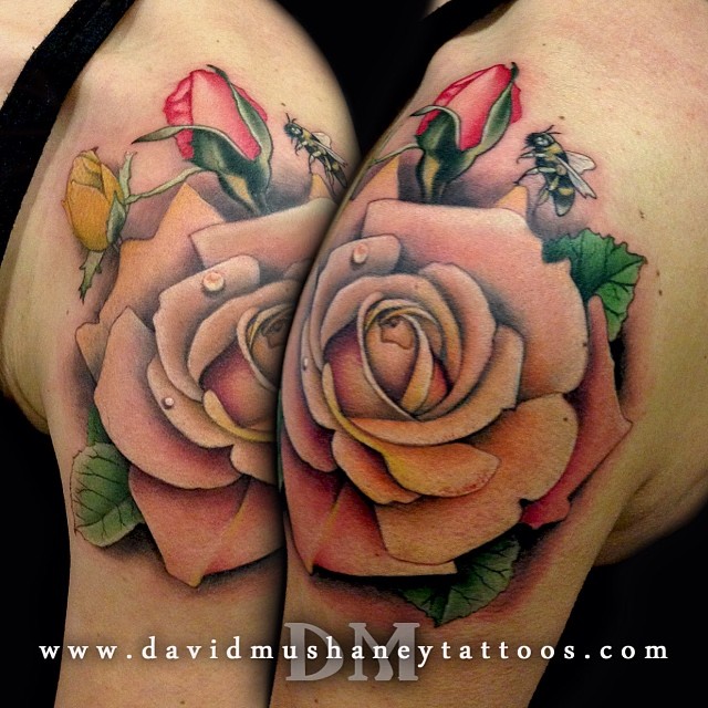Flower, Rose, Nature