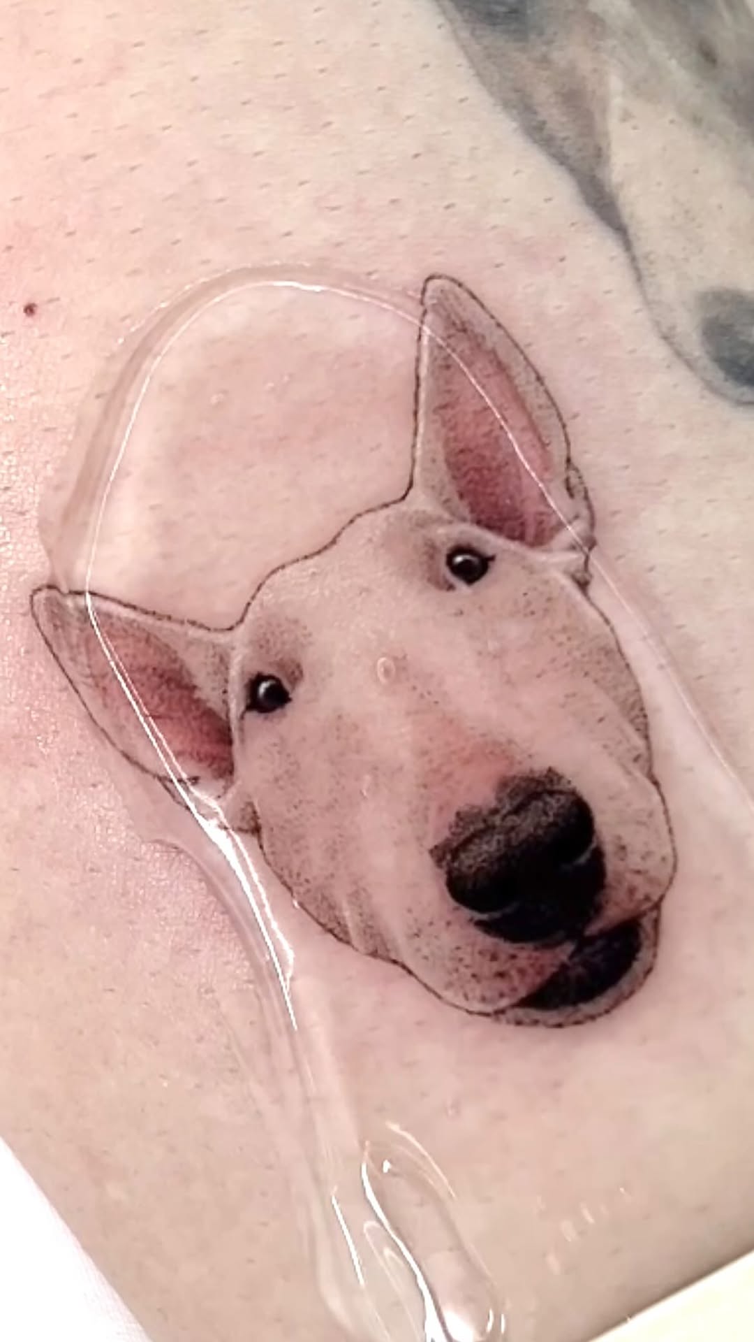 dorok.tattoo