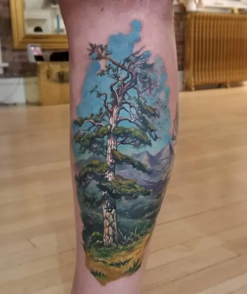 Nature, 숲, 나무, 소나무