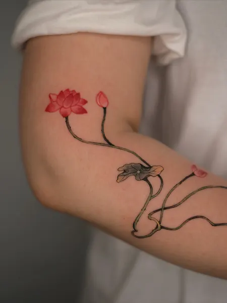 Flower, Rose, 강