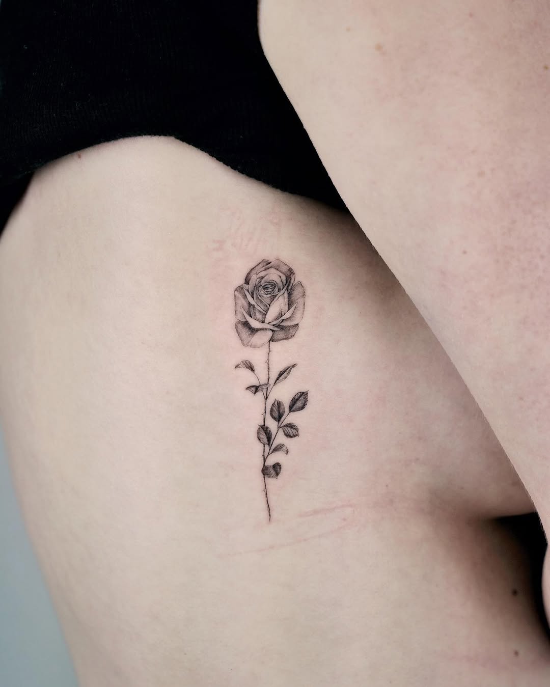 Rose, Flower