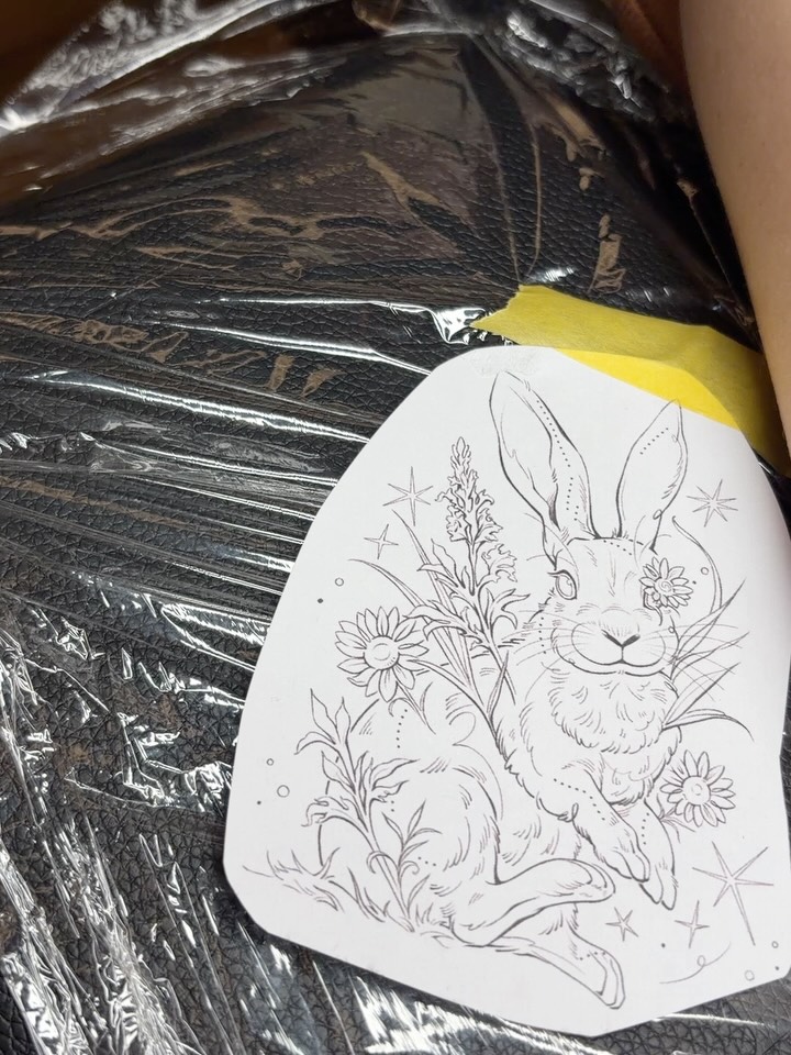 Animal, 토끼