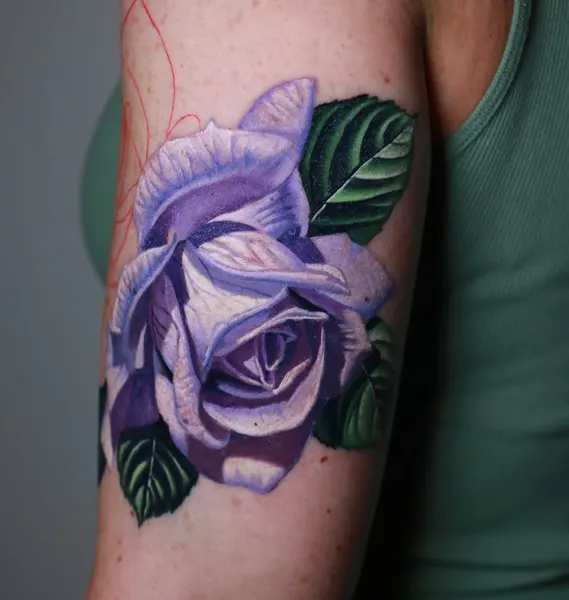 Flower, Rose, Nature