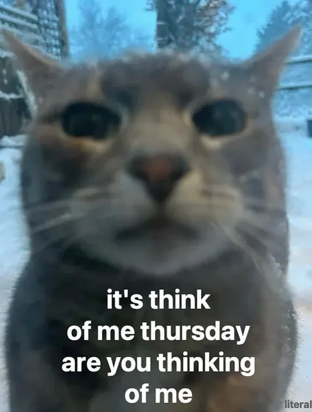 artkaylarose