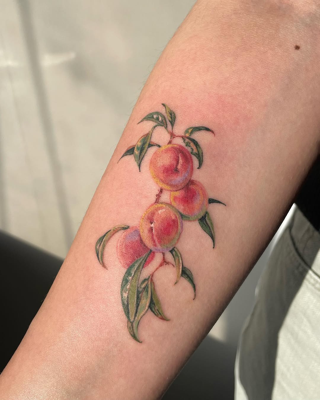 Flower, 과일, 사과, 체리