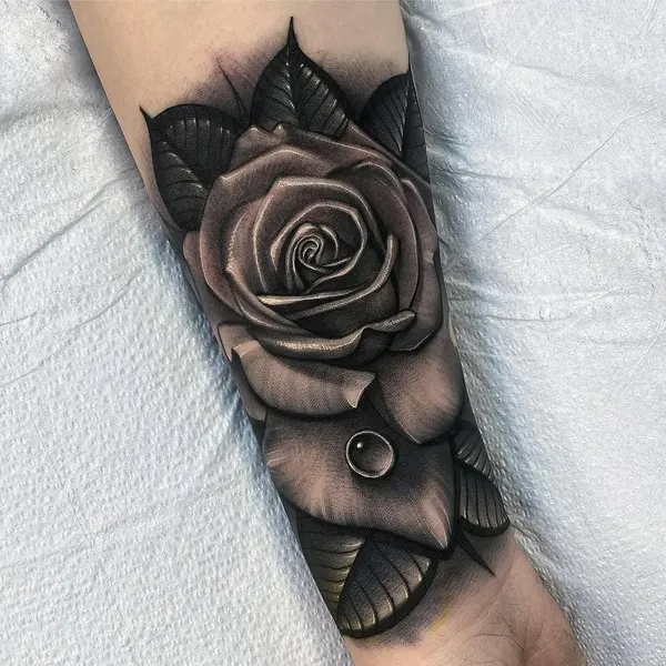 Flower, Rose