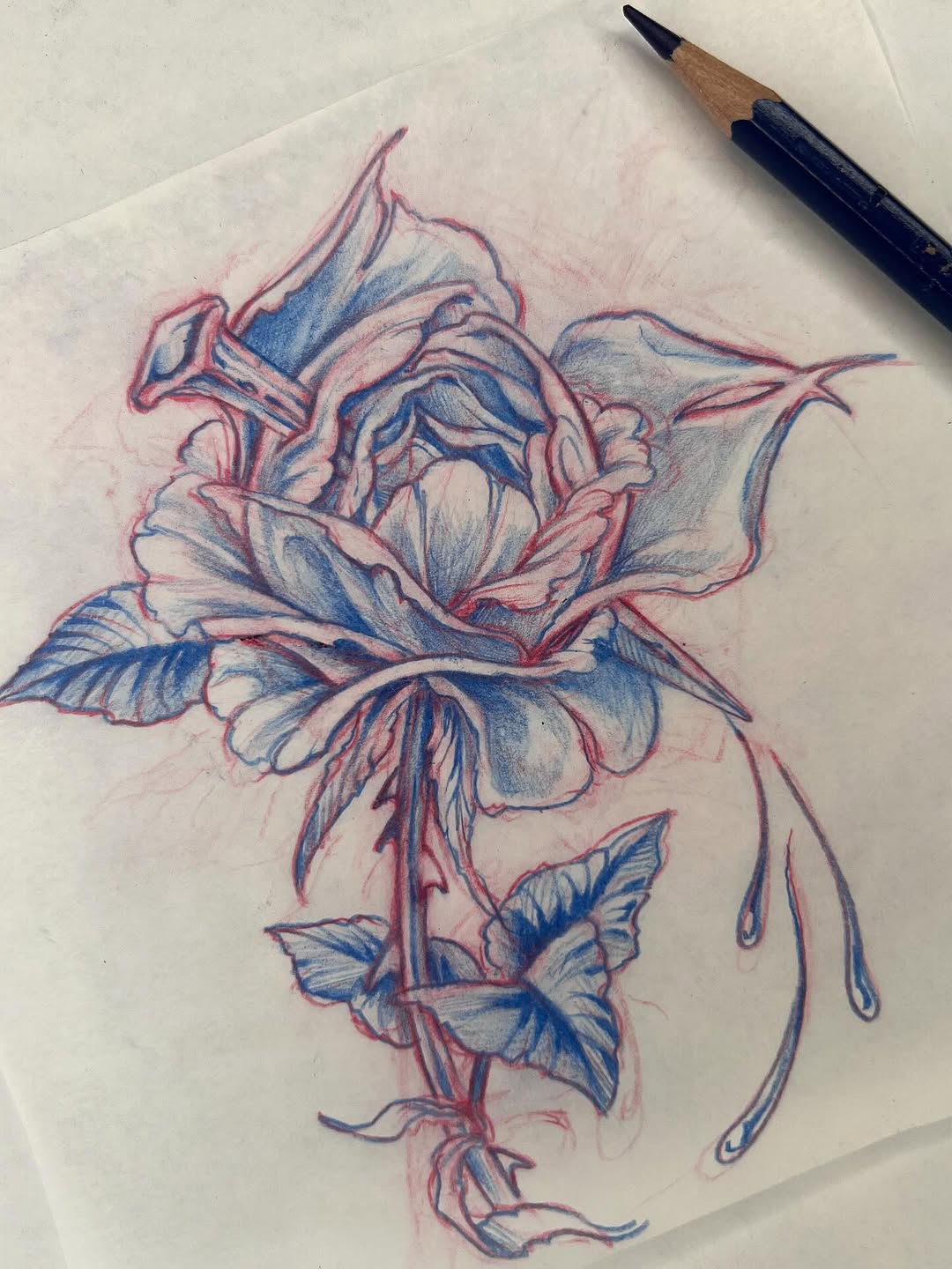 Flower, Rose