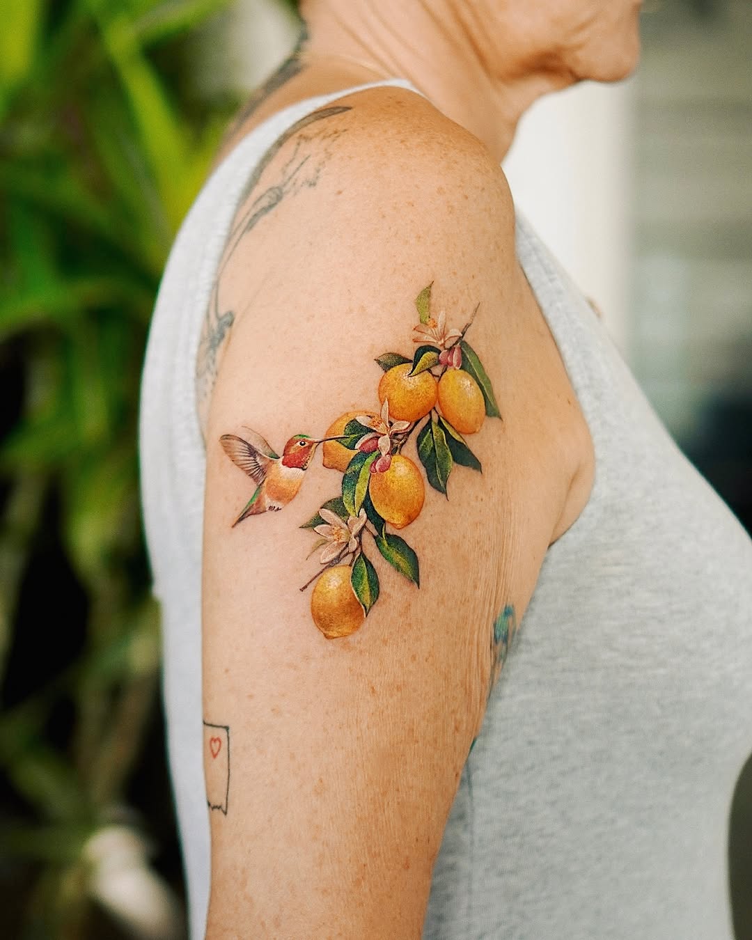 Flower, 과일, 레몬