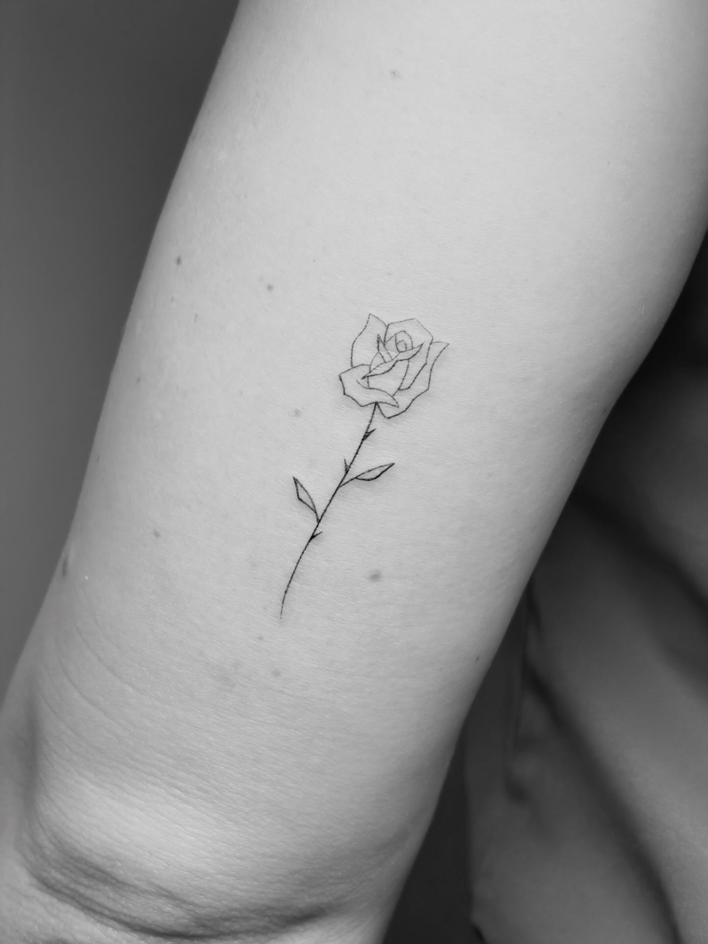 Flower, Rose