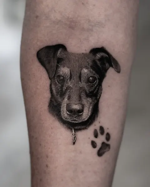 Animal