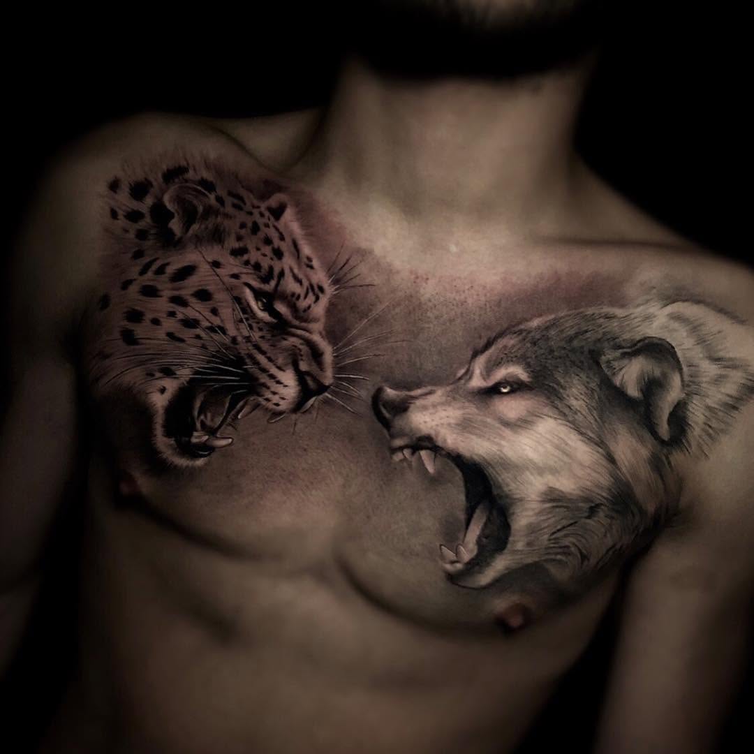 Tiger, Animal