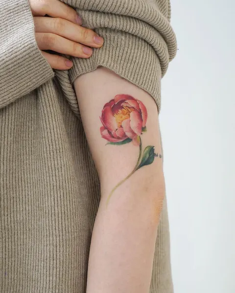Flower, Rose