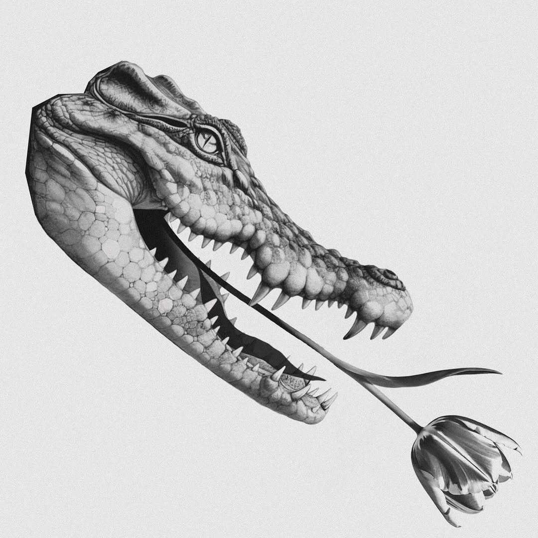 Dragon, 악어