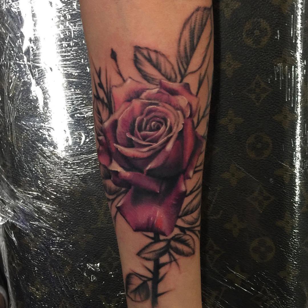 Flower, Rose