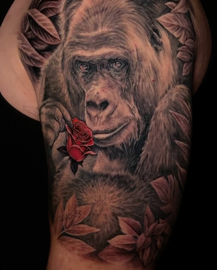 Tiger, Animal