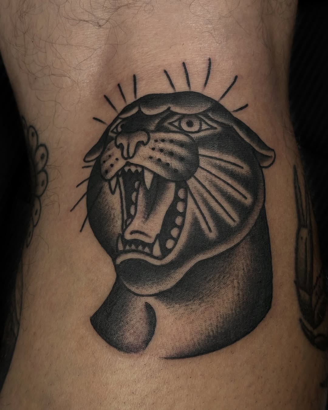Animal, Tiger