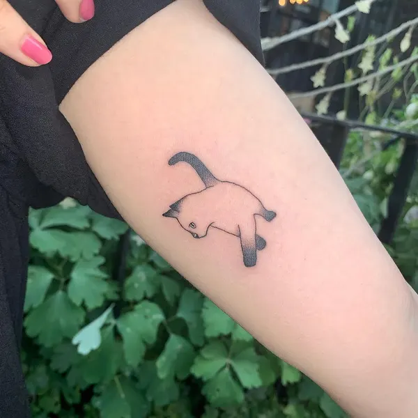 Animal