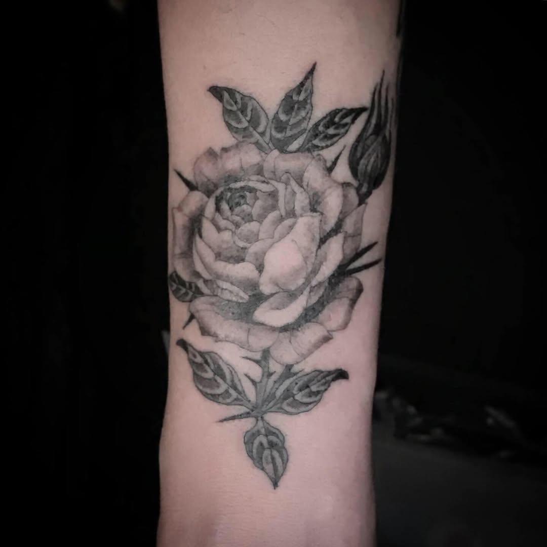 Flower, Rose