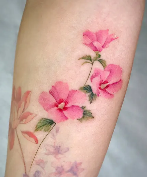 Flower, Rose