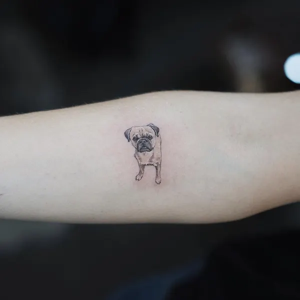 soltattoo