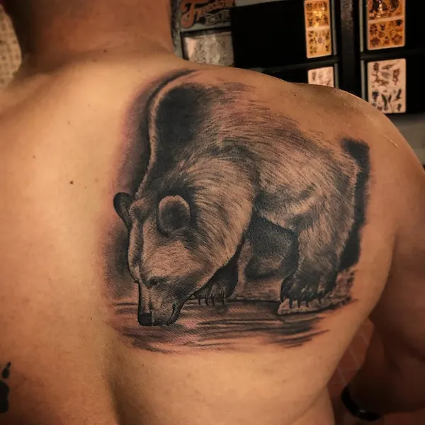 Animal