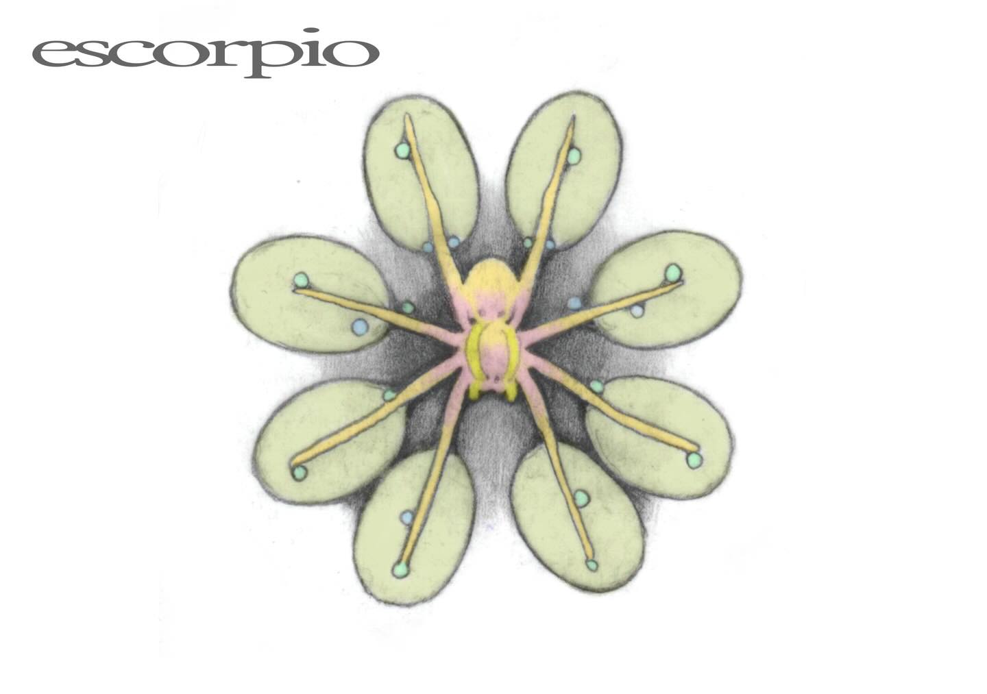 cymatic.garden