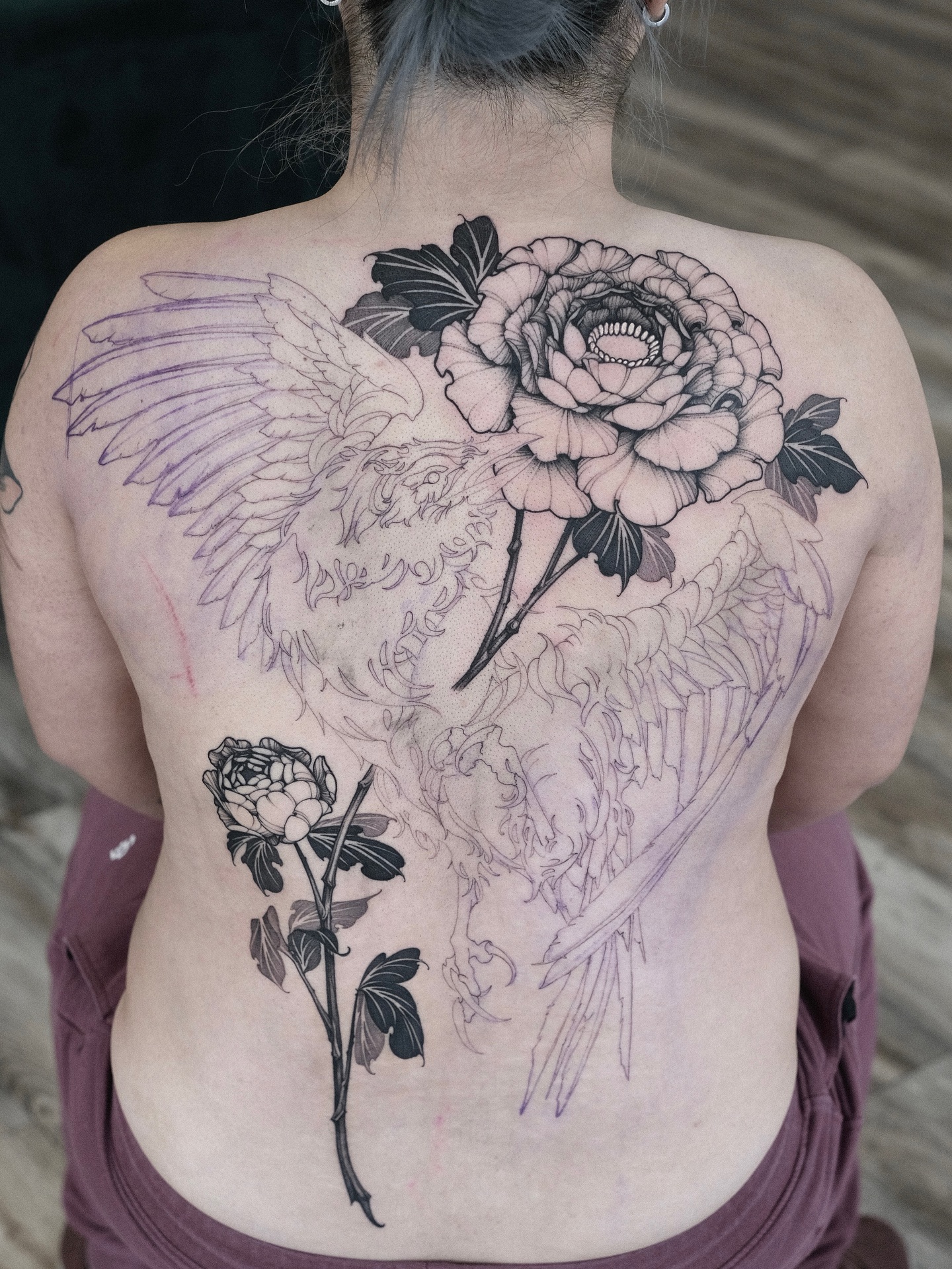 Flower, Rose, Nature