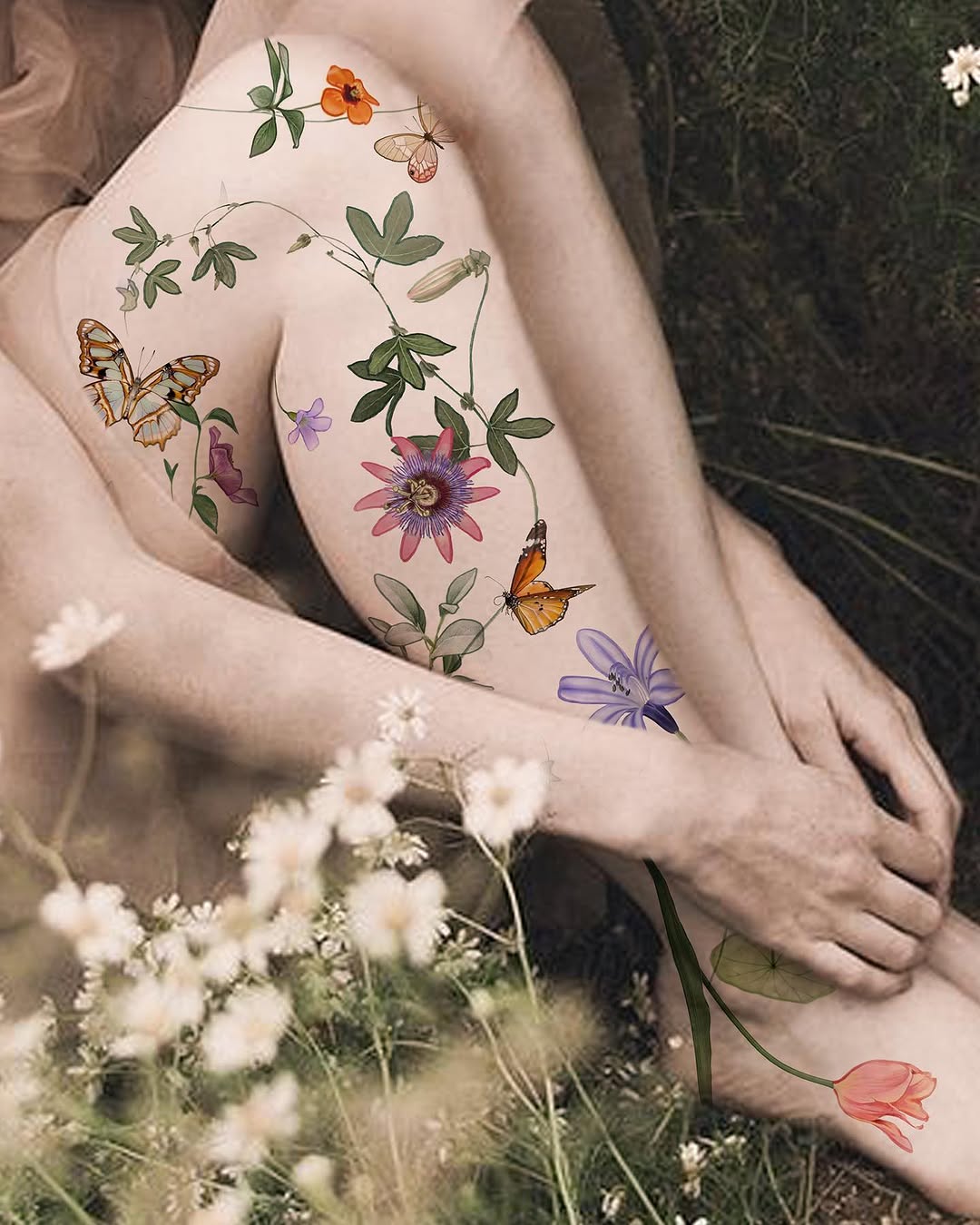 Flower, Nature, Rose