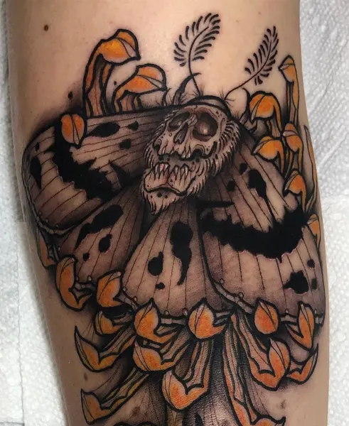 Animal, Nature