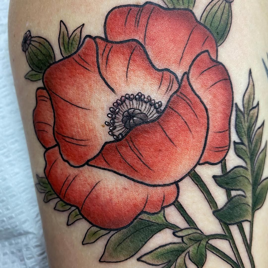 Flower, Rose, 양귀비