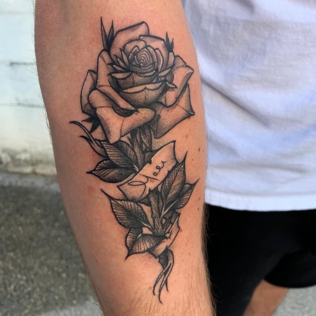 Flower, Rose
