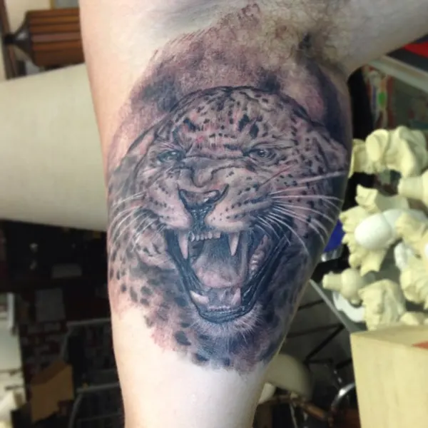 Animal, Tiger