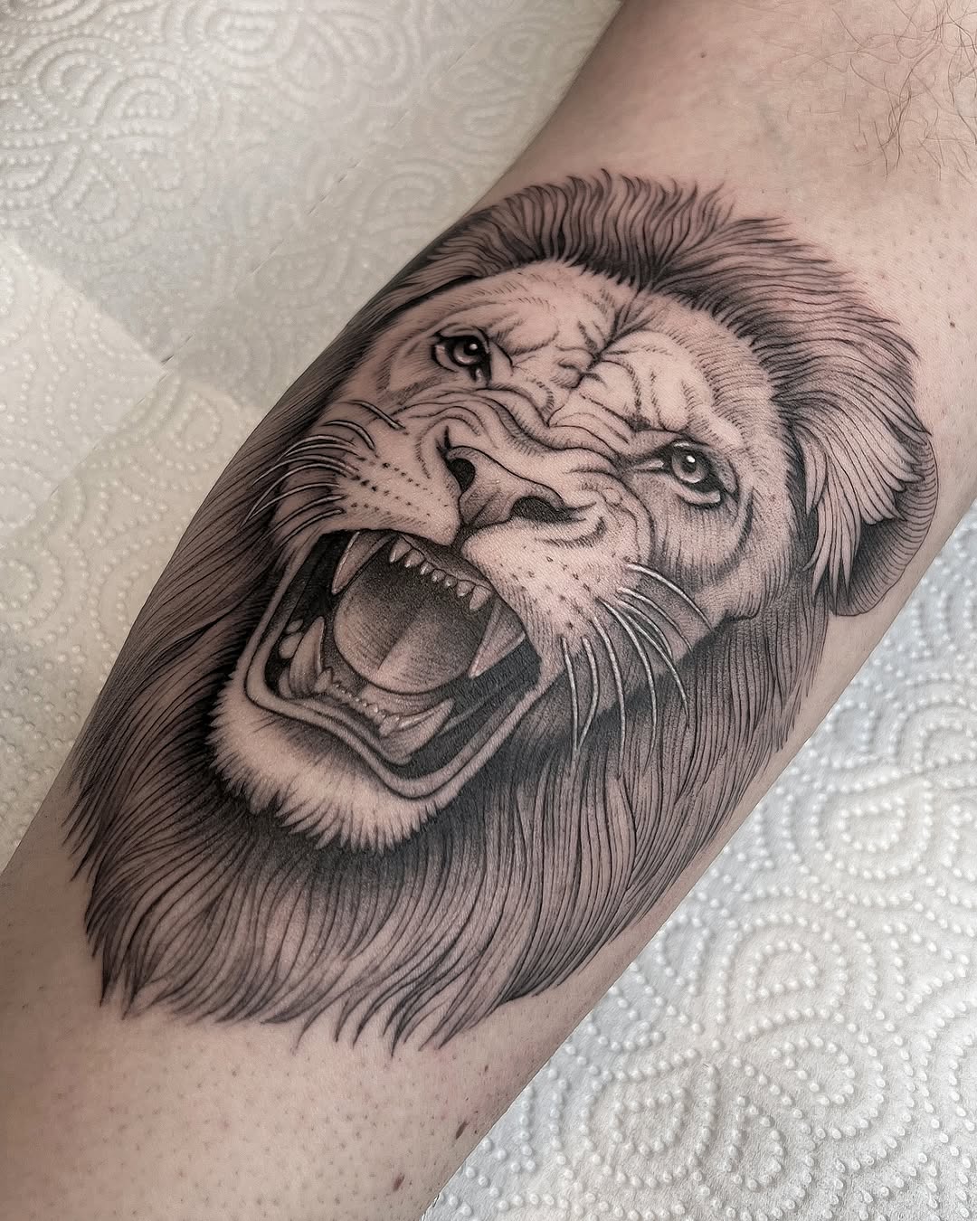 Tiger, 사자자리, 사자