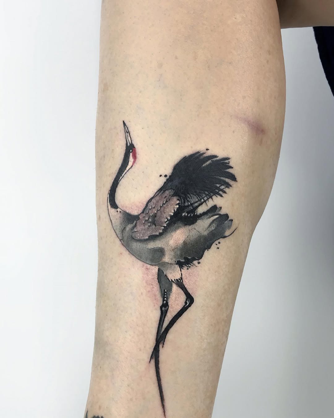 Assassin Houston