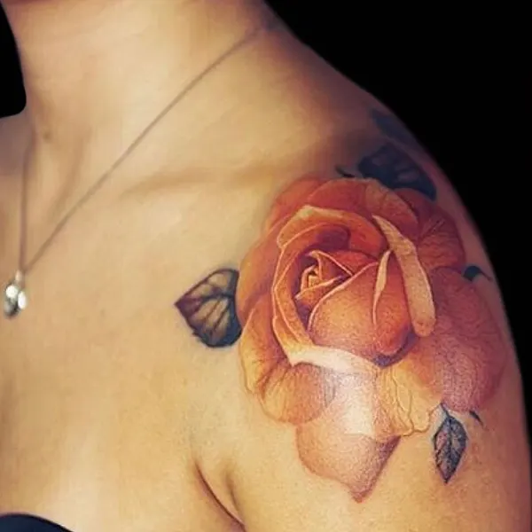 Rose, Nature, Flower