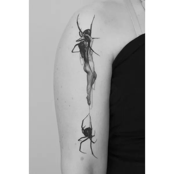 Animal, 거미