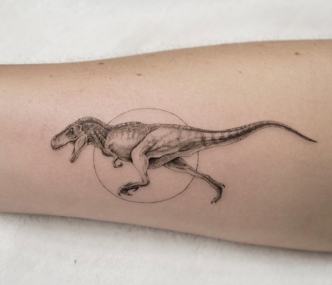 Dragon, 악어, 도마뱀
