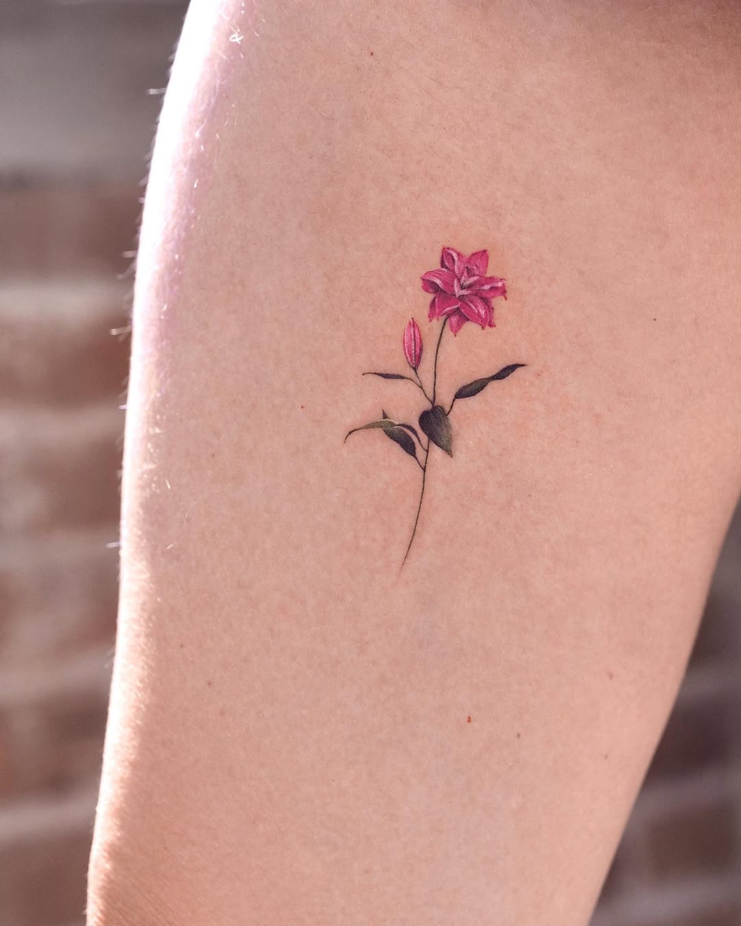 Rose, Flower