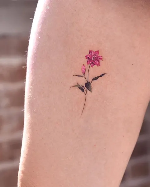 Rose, Flower