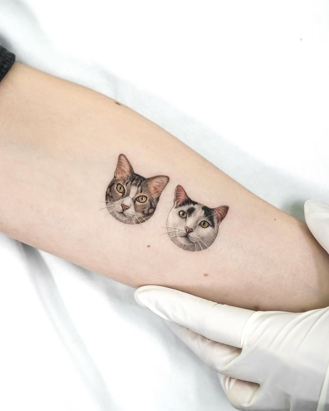 dorok.tattoo