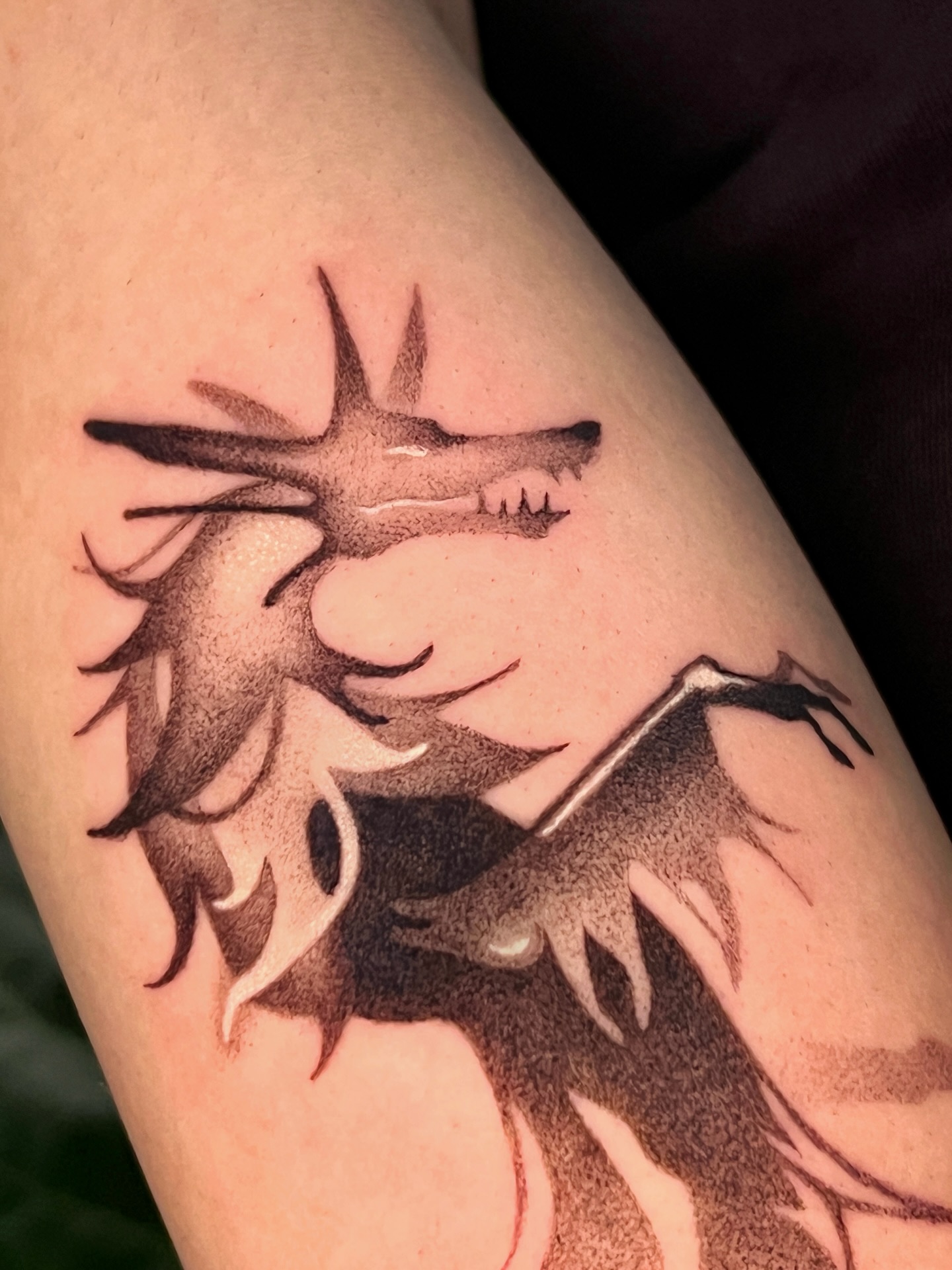 Dragon